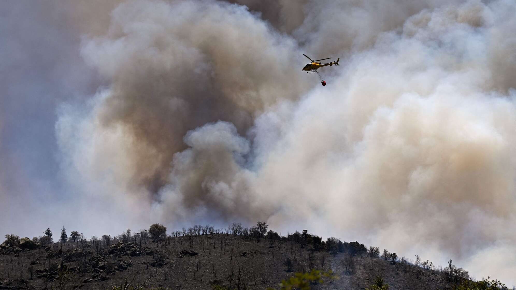 Waldbrände in Südfrankreich
