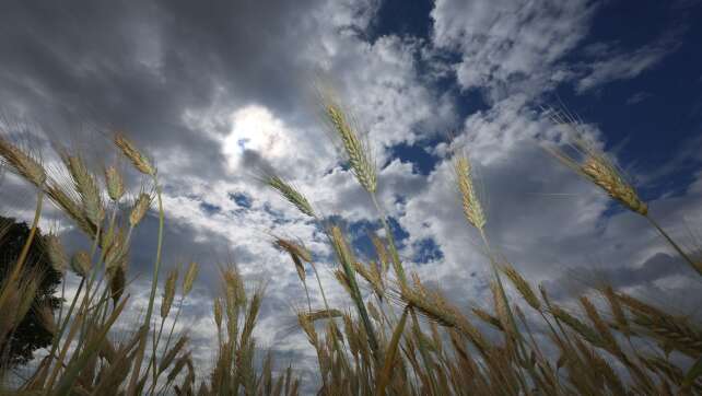 Wechselhafter Start – ab Dienstag wird es wieder sommerlich