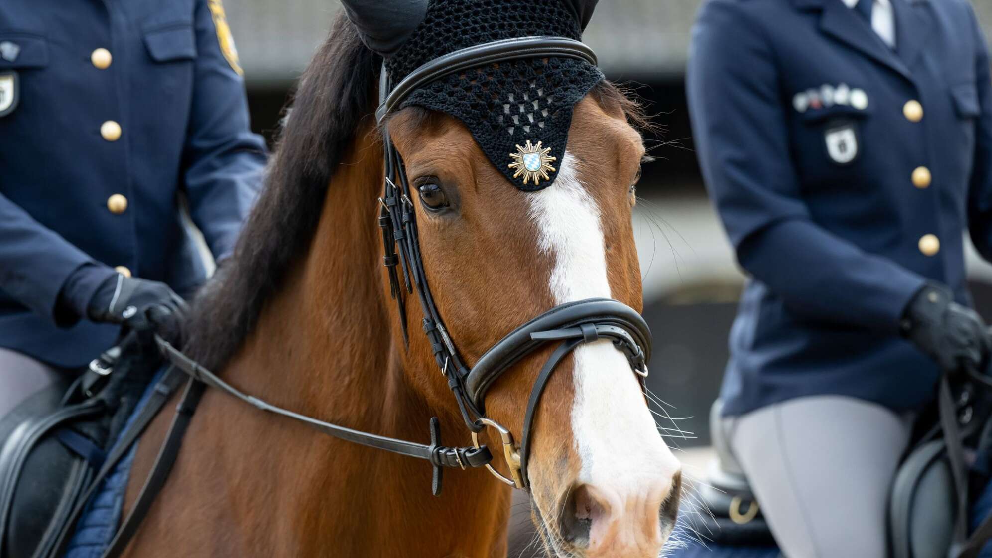 Bayerns Polizei-Reiterstaffel