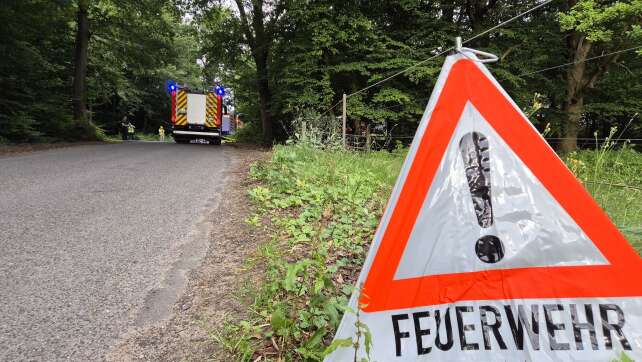 Feuerwehren: Brauchen mehr Technik für Waldbrand-Einsätze