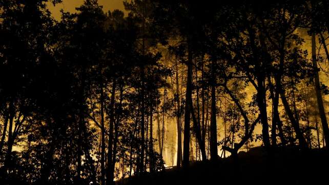 Waldbrand bei Paris – Löschflugzeuge im Einsatz