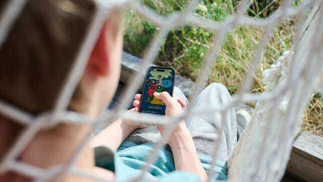 Social Media: EU-Experten für Zugangsbeschränkung bis 13