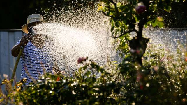 Wasser knapp: Münchner dürfen nicht mehr Rasen sprengen
