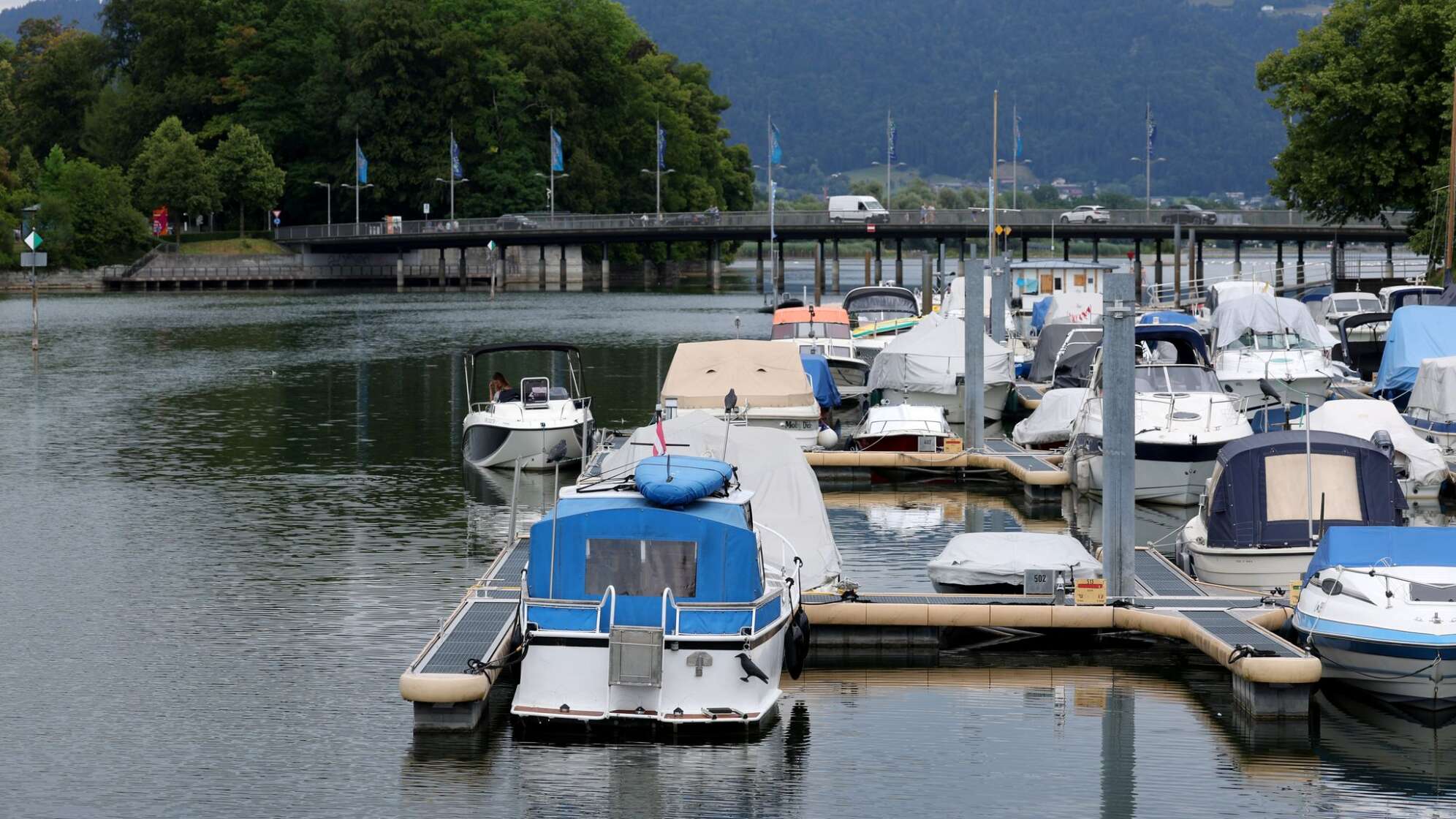 Warnung am Bodensee wegen Bakterien-Belastung