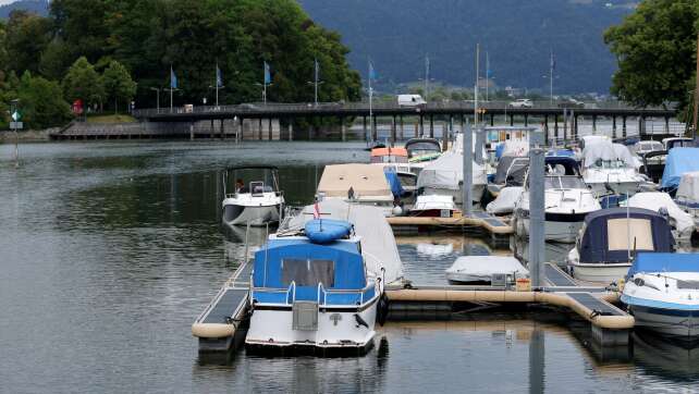 Blaualgen in Bodensee-Seitenarm nachgewiesen