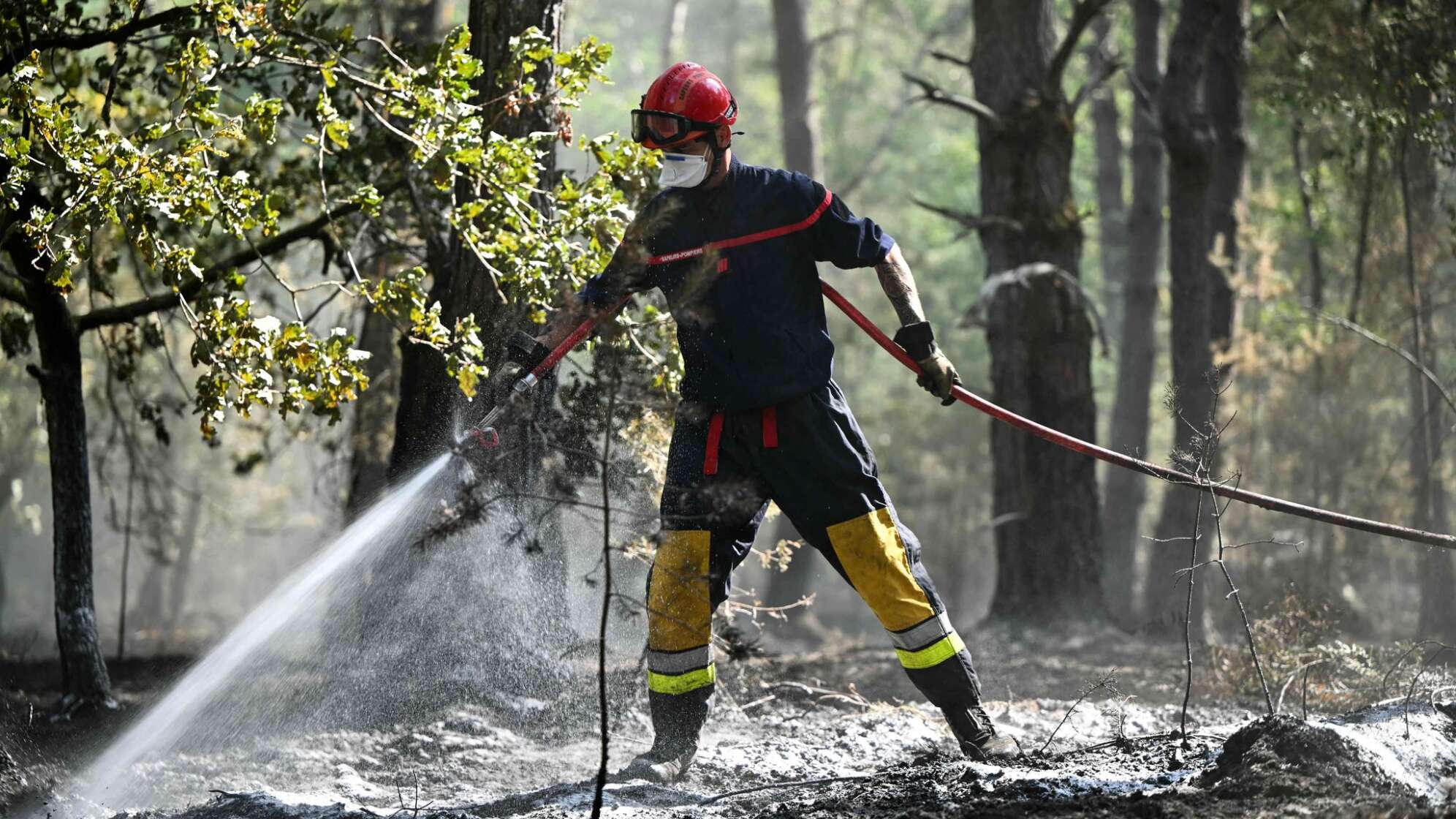 Waldbrand bei Paris