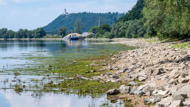 Niedrigwasser bremst Güterschifffahrt aus