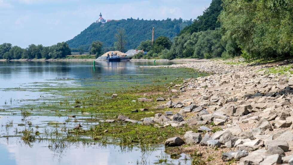 Niedrigwasser in Bayern: Warum der Donau-Pegel bei Kelheim trotz Regen schnell wieder sinkt – Auswirkungen auf Schifffahrt und Tourismus