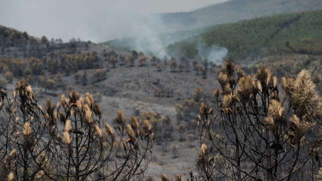Großer Waldbrand bei Madrid außer Kontrolle