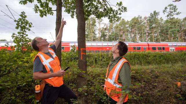 3.000 Bäume müssen weg - Bahn sperrt Strecke in Unterfranken