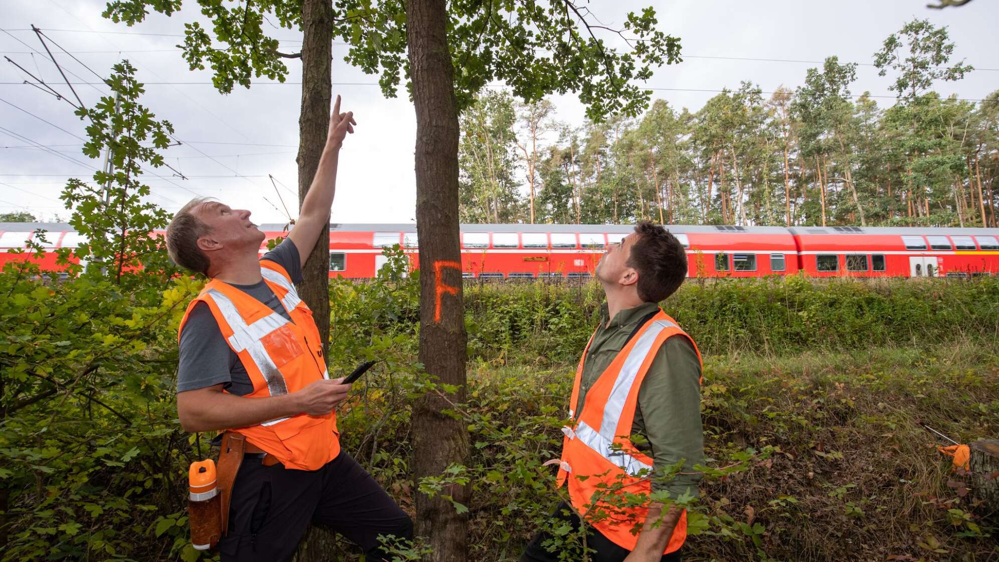 Deutsche Bahn - Vorsorge gegen Stürme