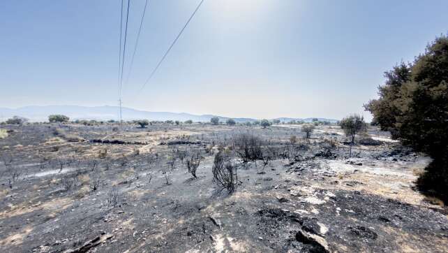 Erfolge im Kampf gegen großen Waldbrand bei Madrid