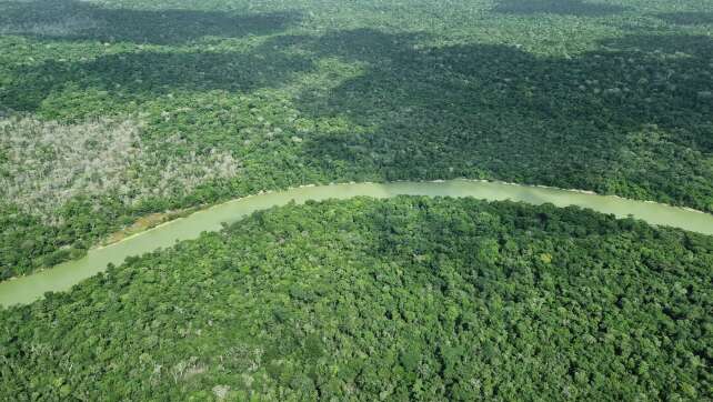 Amazonas: So wenig Waldbrände wie seit 40 Jahren nicht