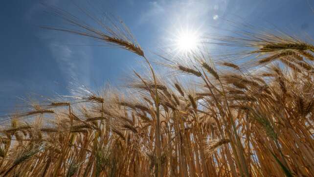 Start in die Hitzewelle - Temperaturen bis zu 33 Grad
