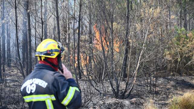 Feuer flammen immer wieder auf – «Wir kämpfen Baum um Baum»
