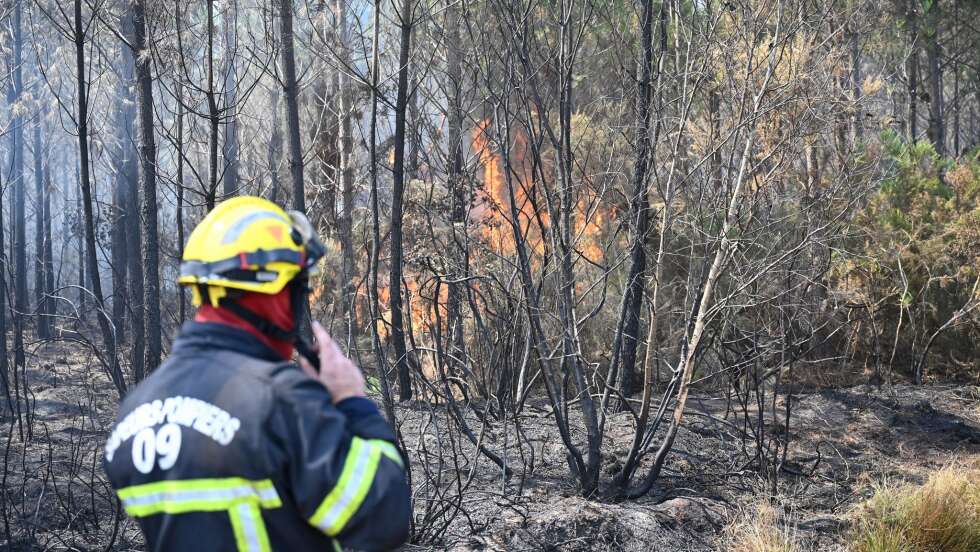 Feuer flammen immer wieder auf – «Wir kämpfen Baum um Baum»