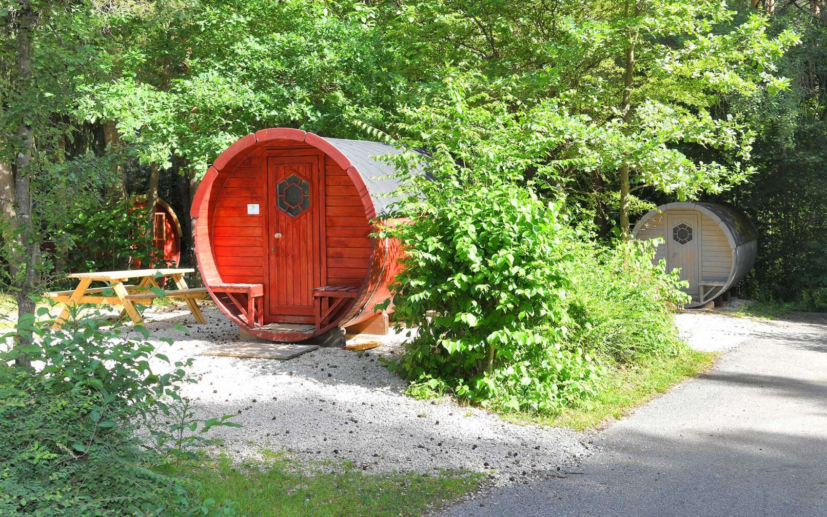 Bild des Waldcamping Brombachsee in Pleinfeld in Mittelfranken
