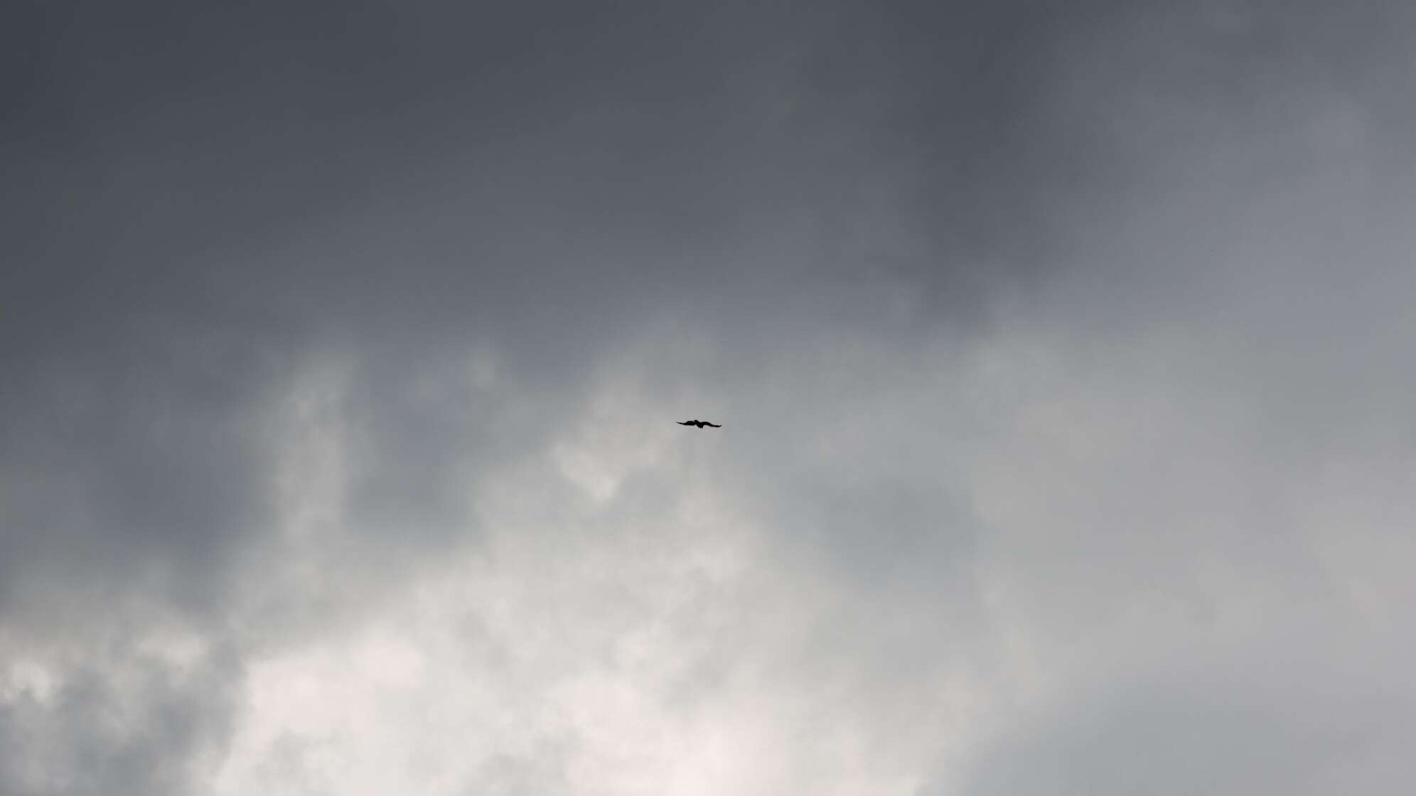 Wetter in Köln