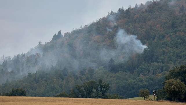 Feuerwehr kämpft gegen Waldbrände in Bayern