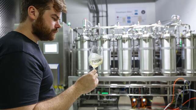 Alkoholfrei durch den Sommer - Wandel im Winzerland