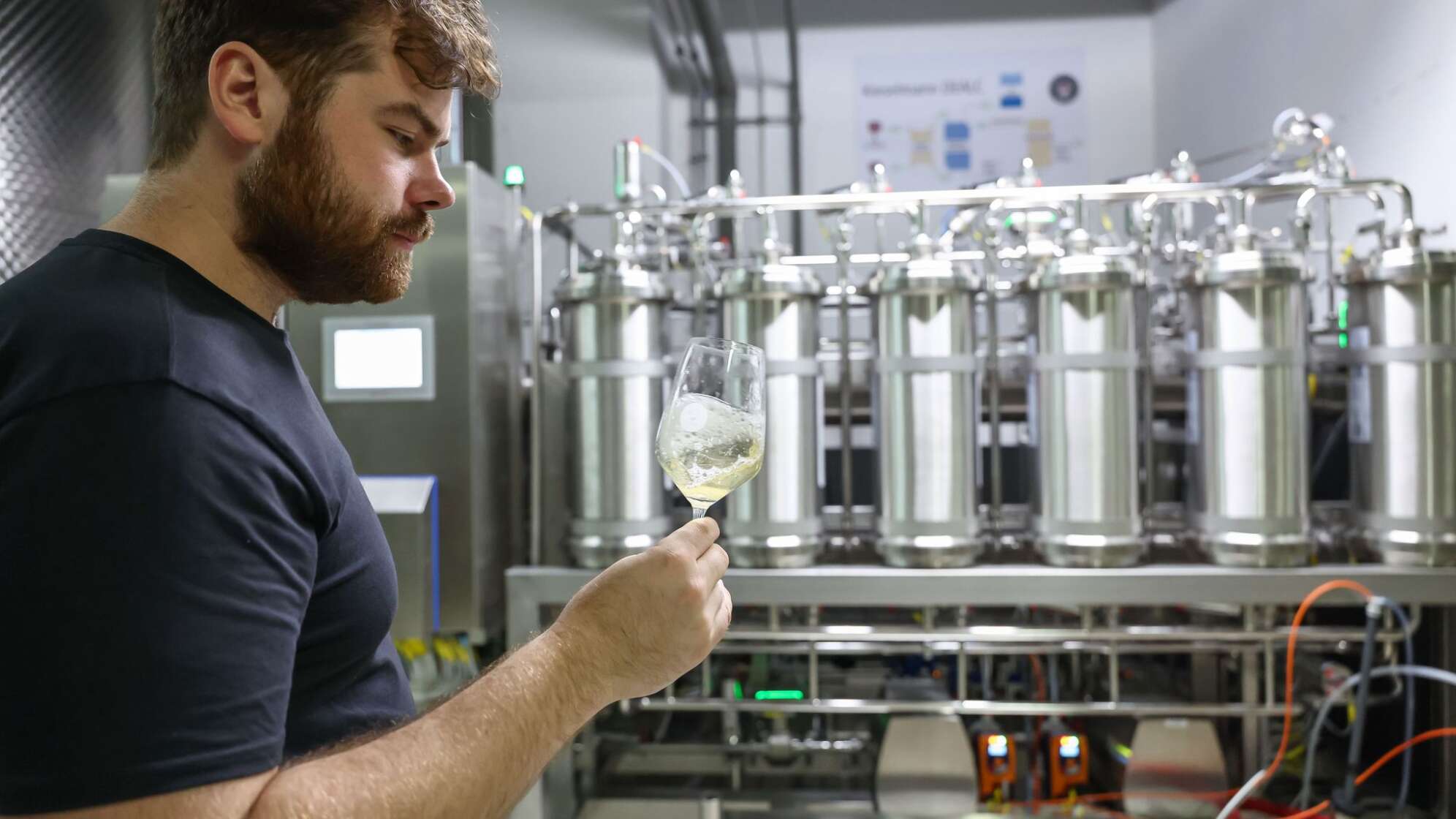 Alkoholfreier Wein