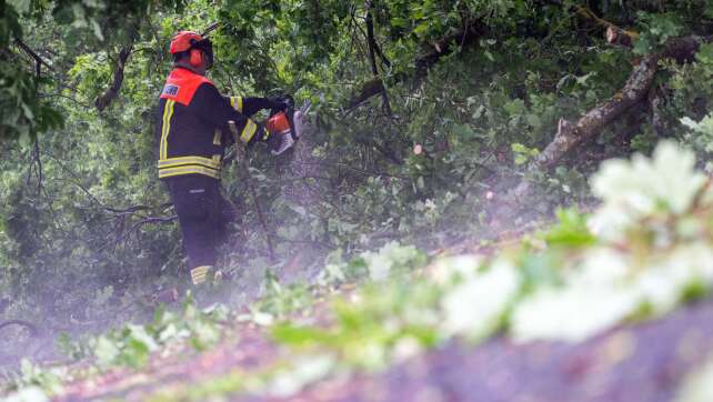 Unwetter: Bäume stürzen auf Autobahnen in Bayern