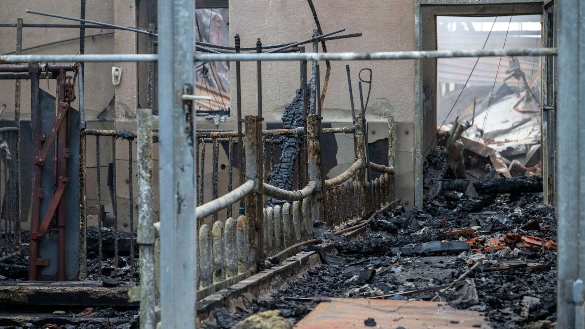 Nach Brand in Schweinezucht