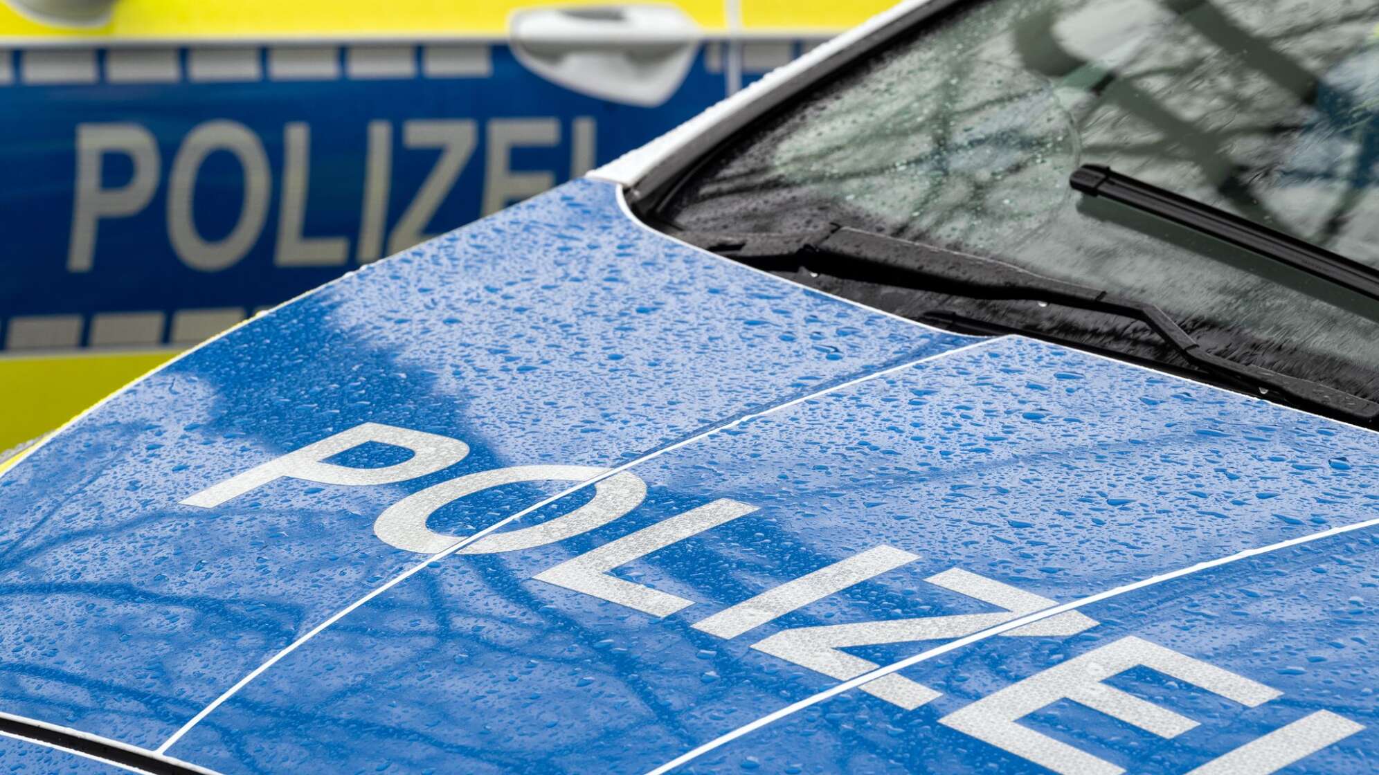 Polizeiautos Symbolbild