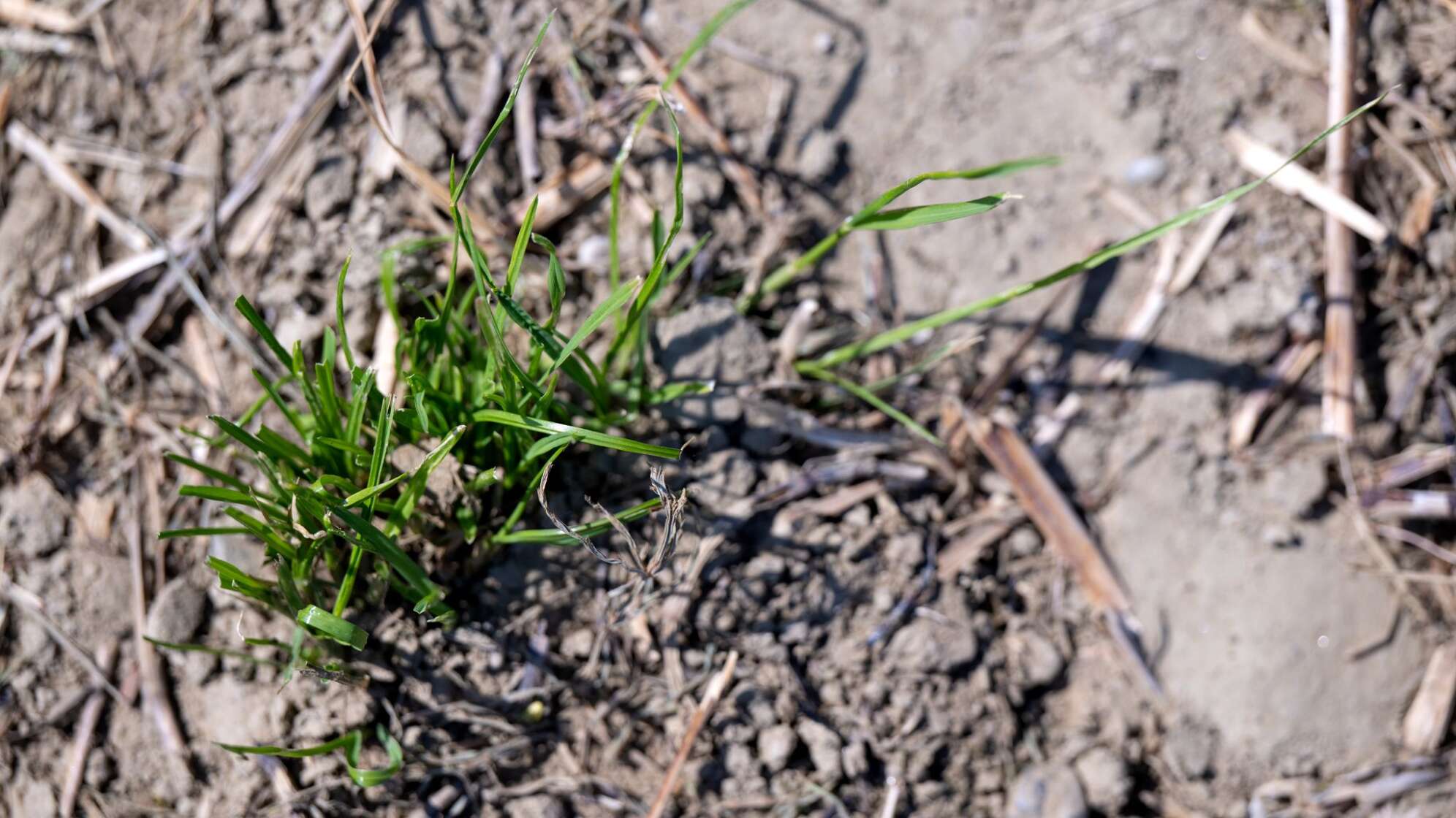 Sonne in Bayern
