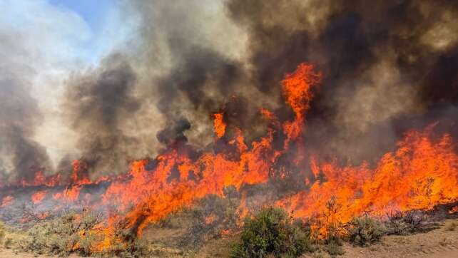 Löschhubschrauber stürzt bei Waldbrand in Utah ab
