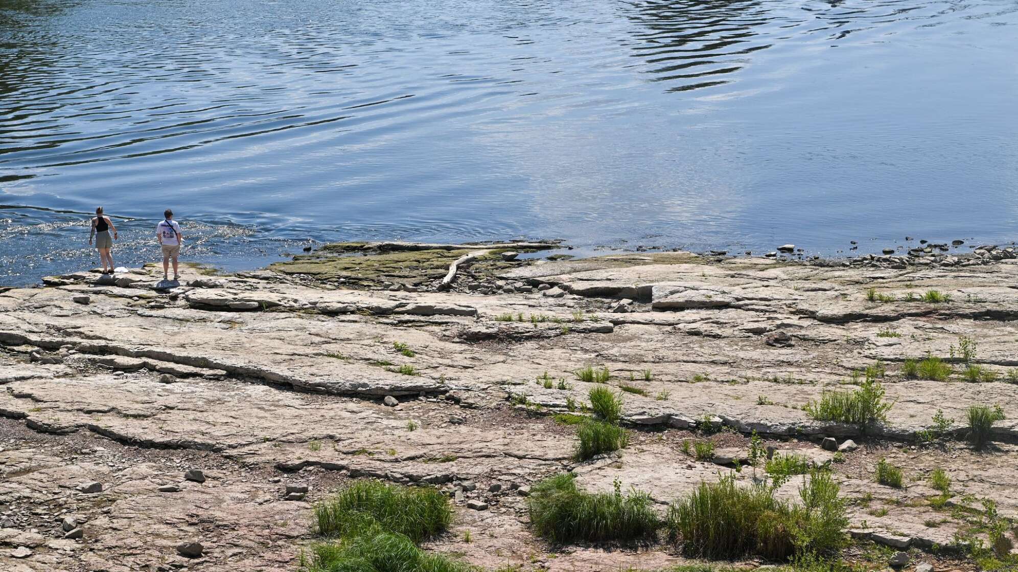 Niedrigwasser an der Elbe
