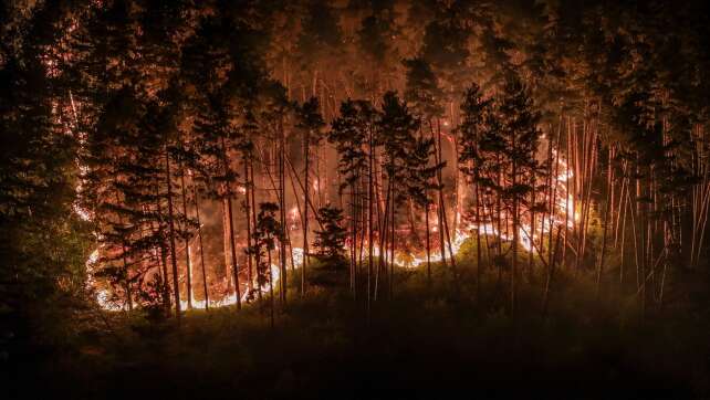 Feueralarm am Gardasee: 250 Menschen evakuiert