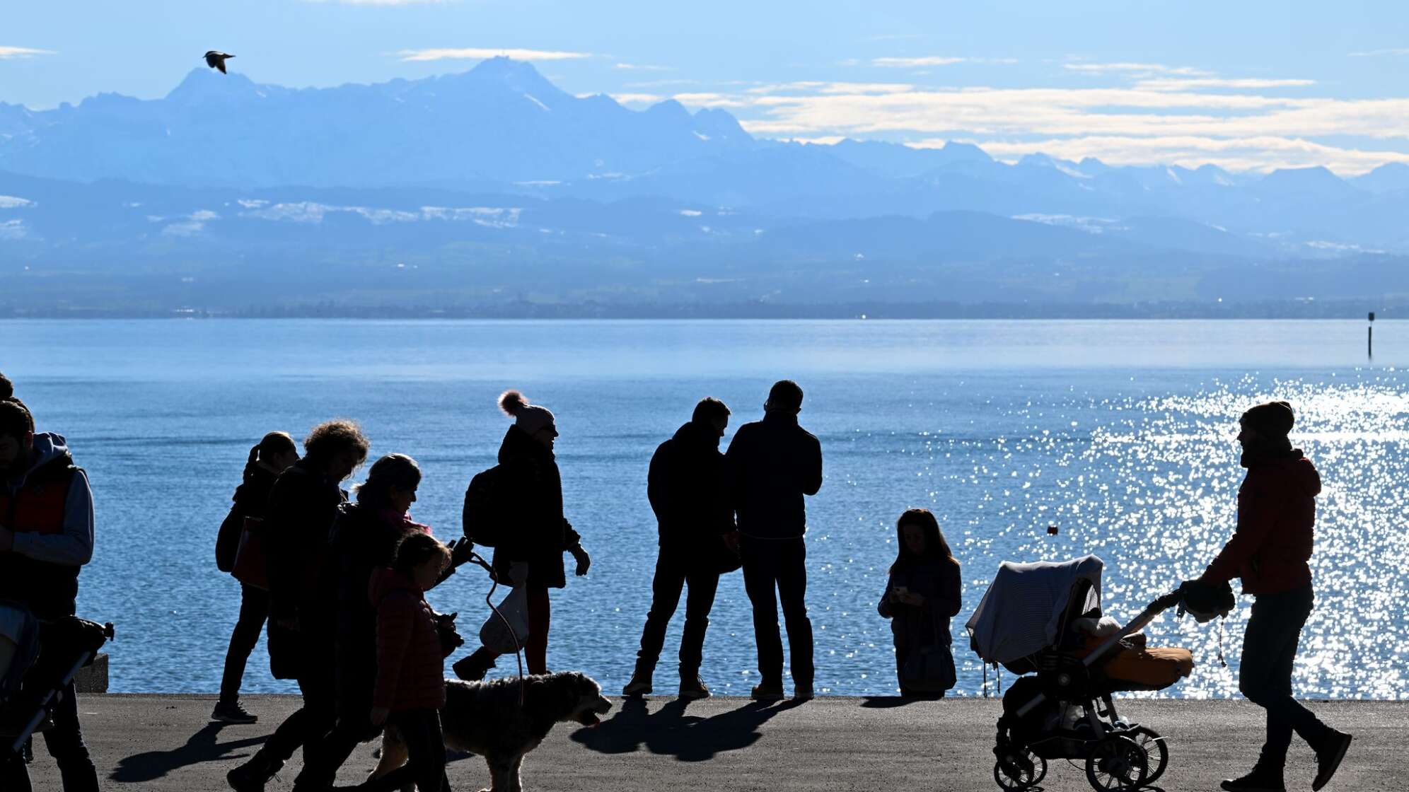 Sonniges Winterwetter am Bodensee