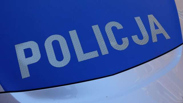 Behörden in Polen warnen vor freilaufender Raubkatze