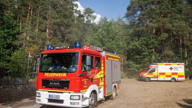 Waldbrand in Hessen erreicht Grenzbereich Bayerns
