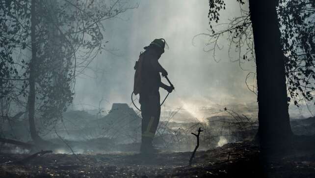Waldbrand in Hessen an Bayerns Grenze - 30.000 Quadratmeter