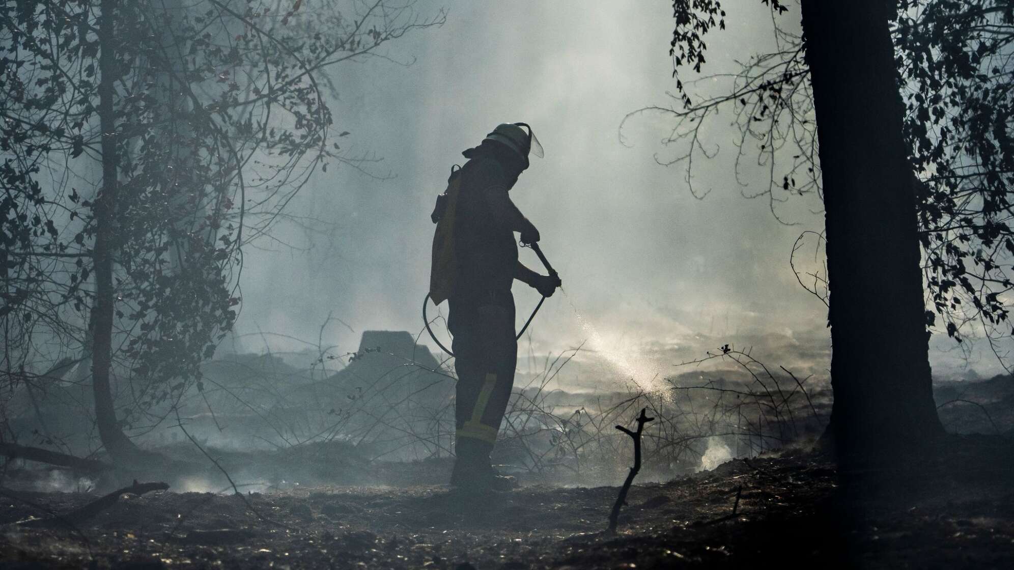 Waldbrand in Hessen