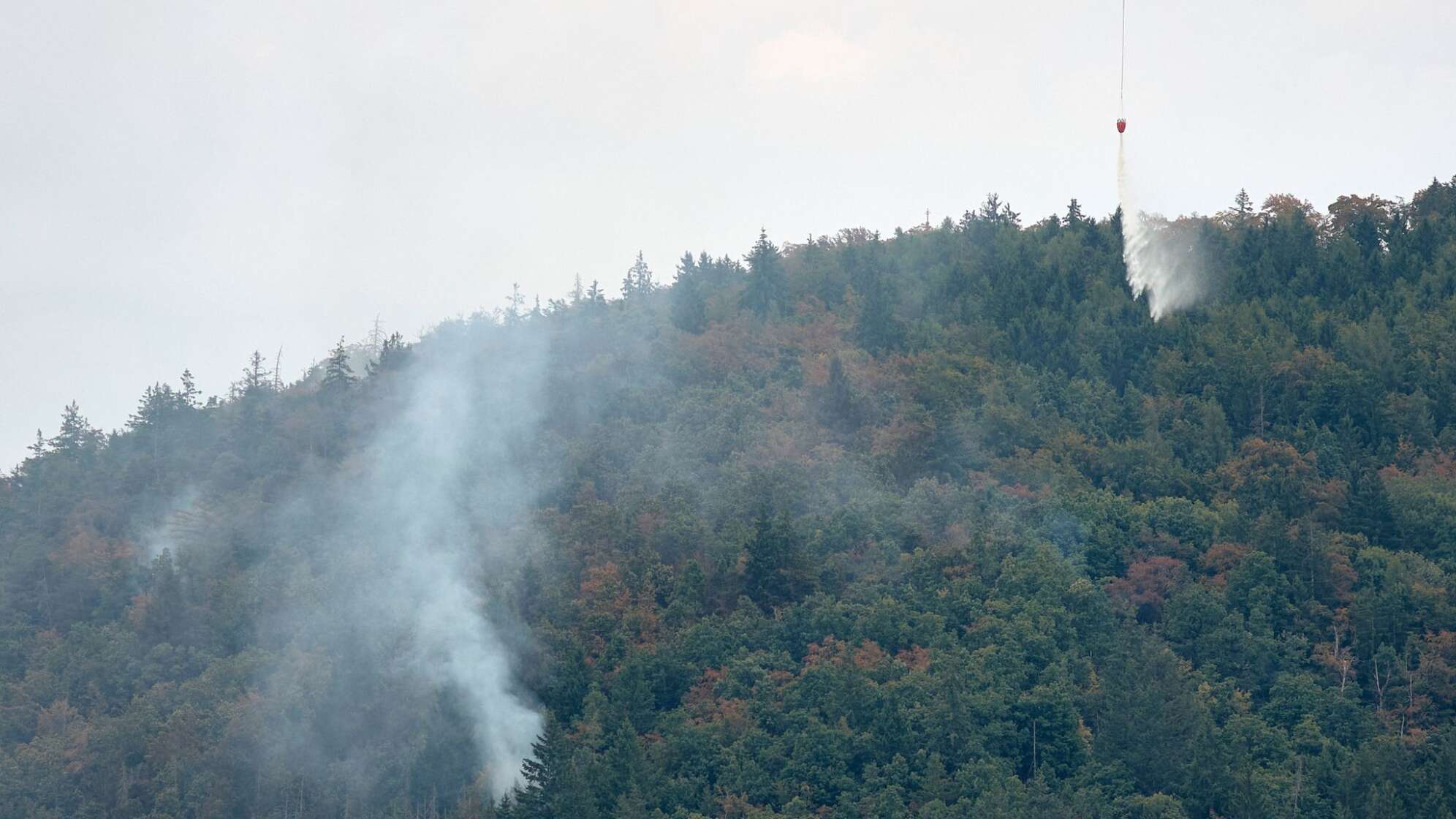 Waldbrand in der Oberpfalz