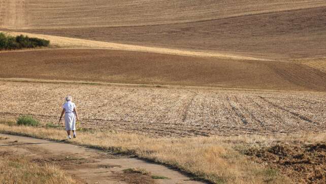 Hirse bis Erdnuss: Neue Hoffnung für Bayerns Landwirtschaft