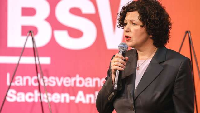 BSW für AfD-Einbindung nach Landtagswahl in Sachsen-Anhalt