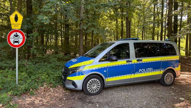 Menschlicher Torso in Waldstück gefunden – Polizei ermittelt