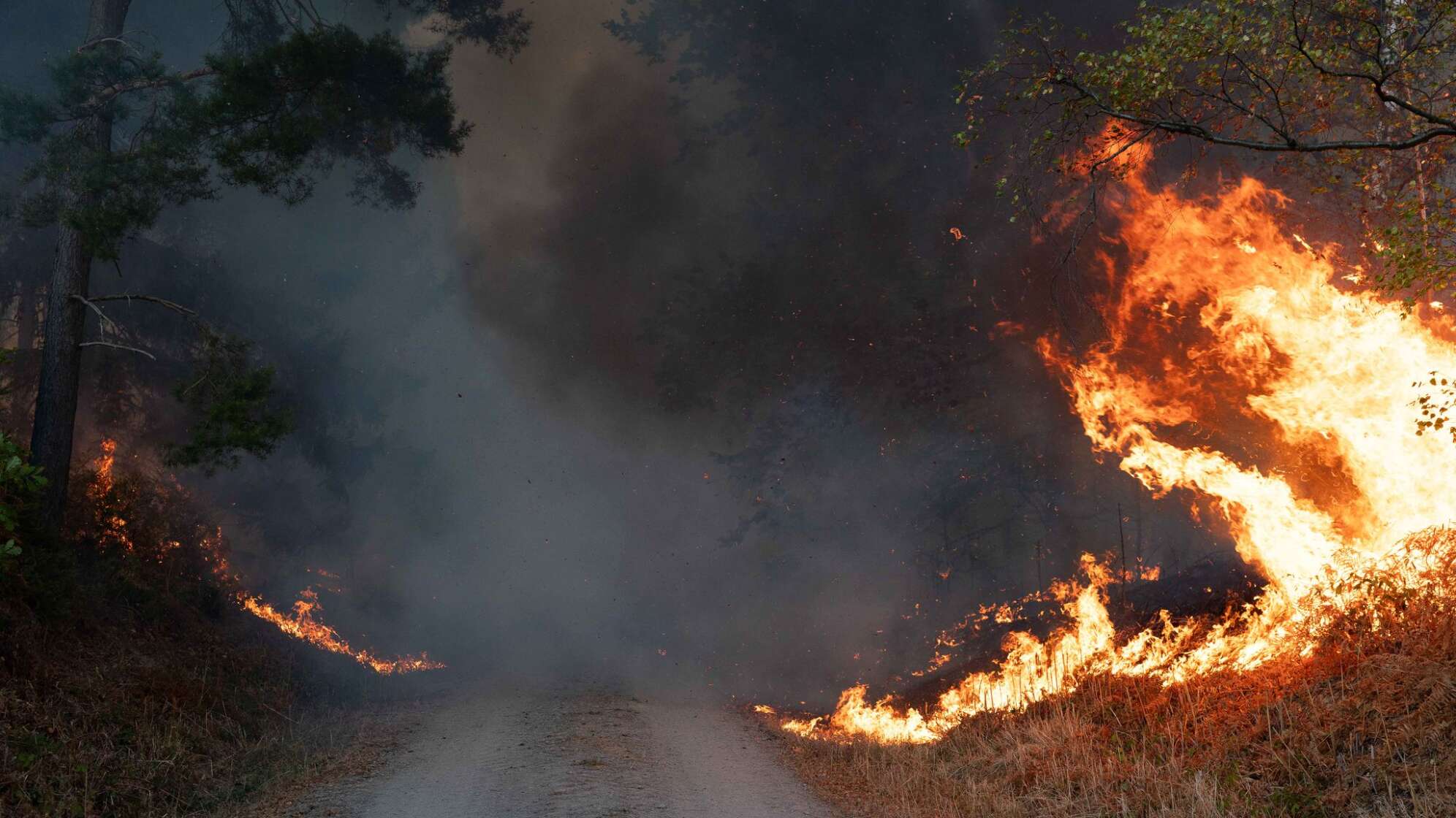 Waldbrand im Hürtgenwald
