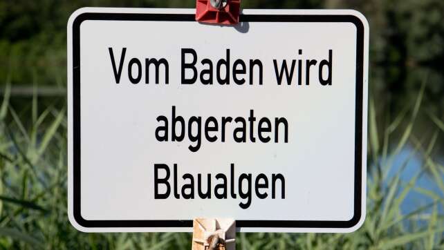 Blaualgen in zwei Seen – Behörden warnen vor dem Baden