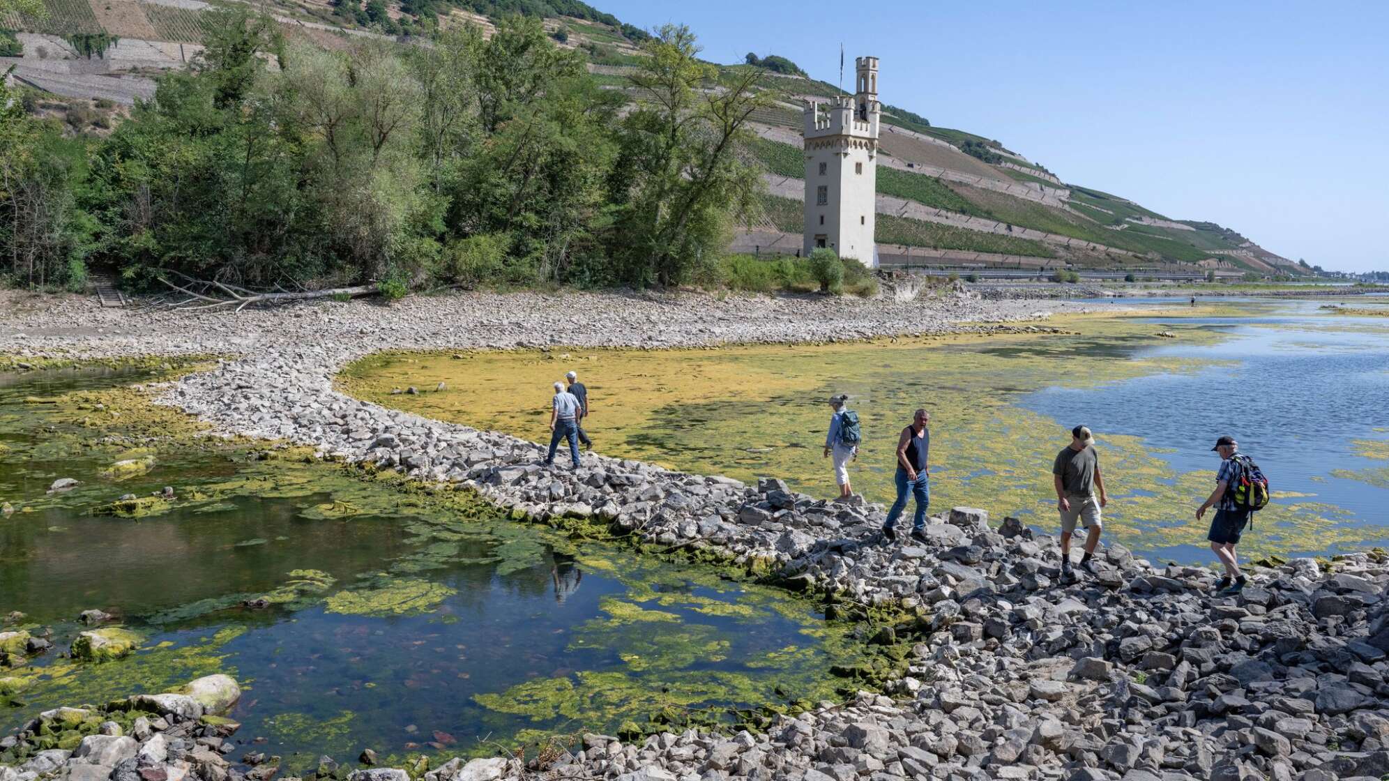 Extremes Niedrigwasser auf dem Rhein