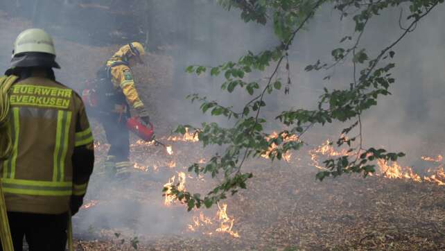 Fortschritte bei Brandbekämpfung im Hürtgenwald