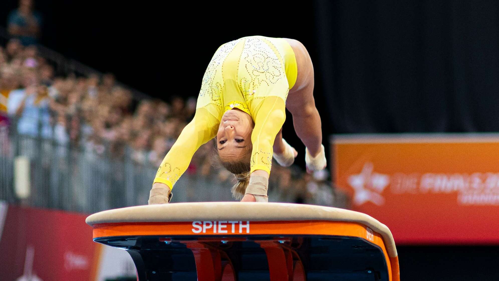 Die Finals in Hannover