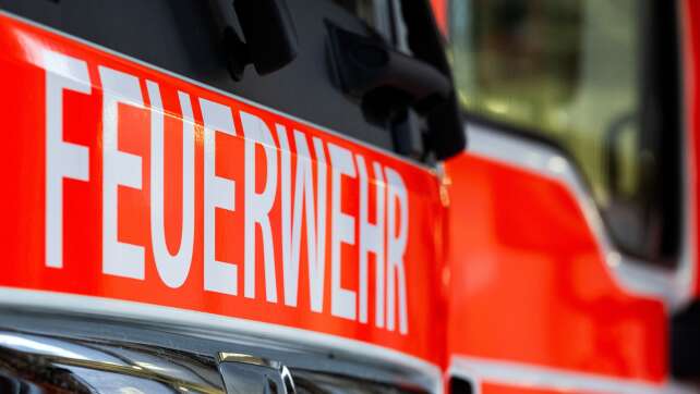 Waldgebiet von Brand in Waldaschaff betroffen