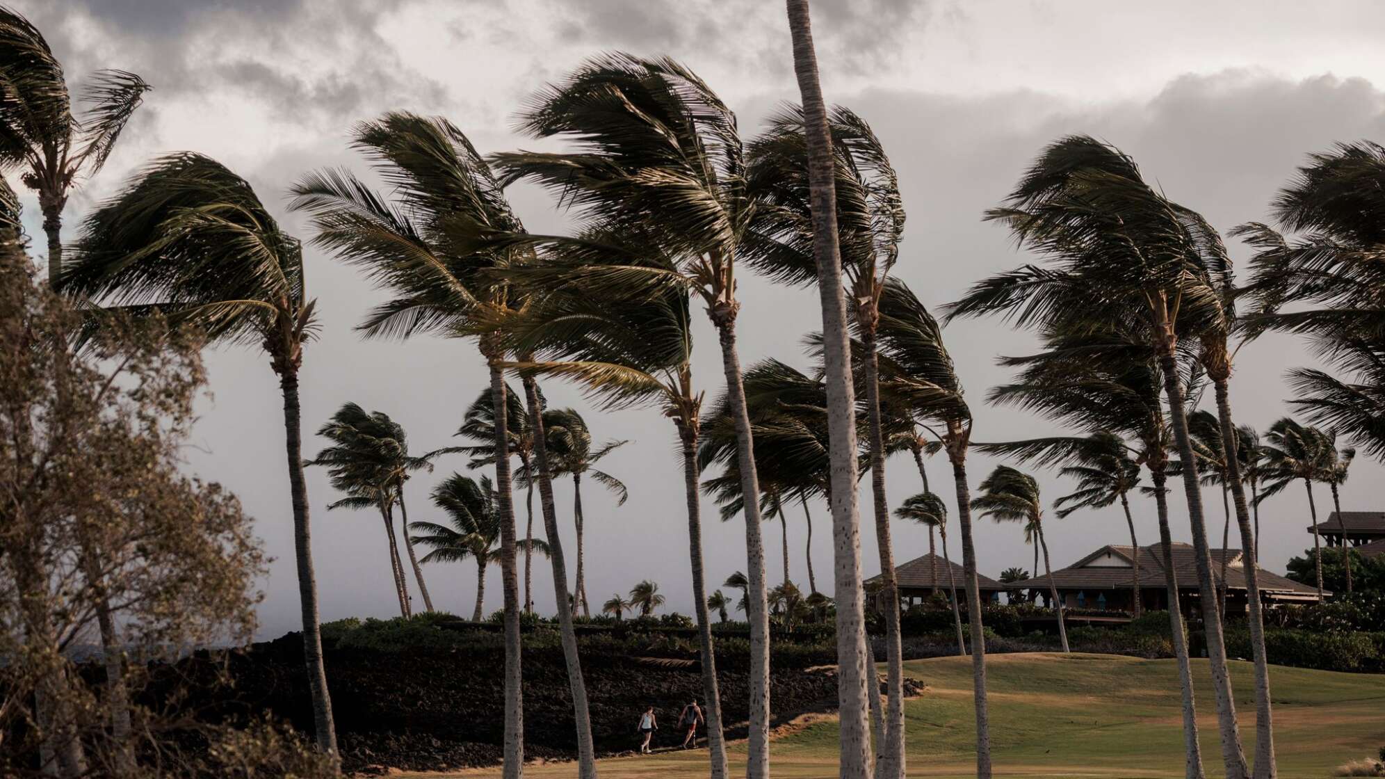 Hurrikanwarnung auf Hawaii: Sturm «Lala» nähert sich