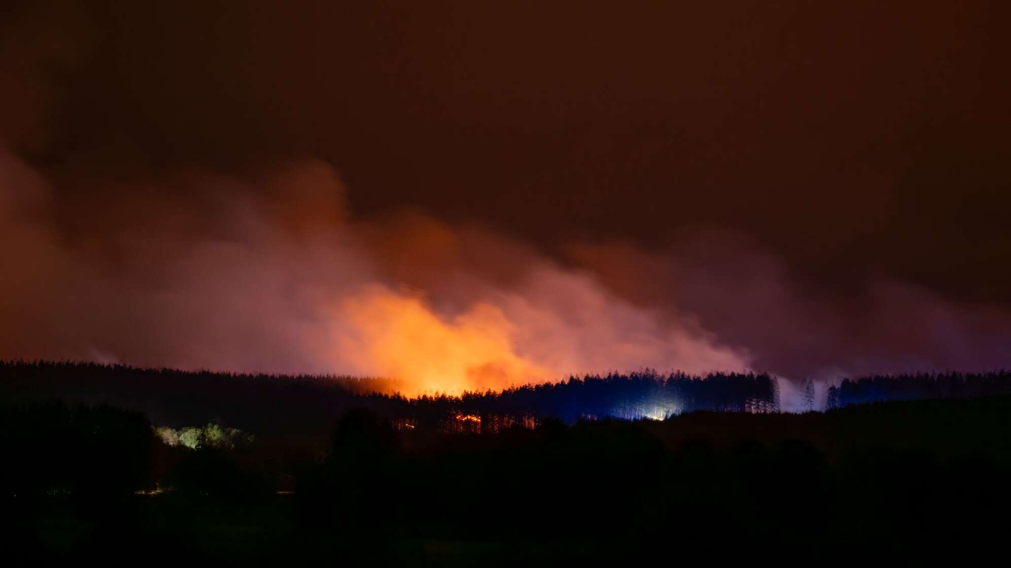 Waldbrand in Belgien
