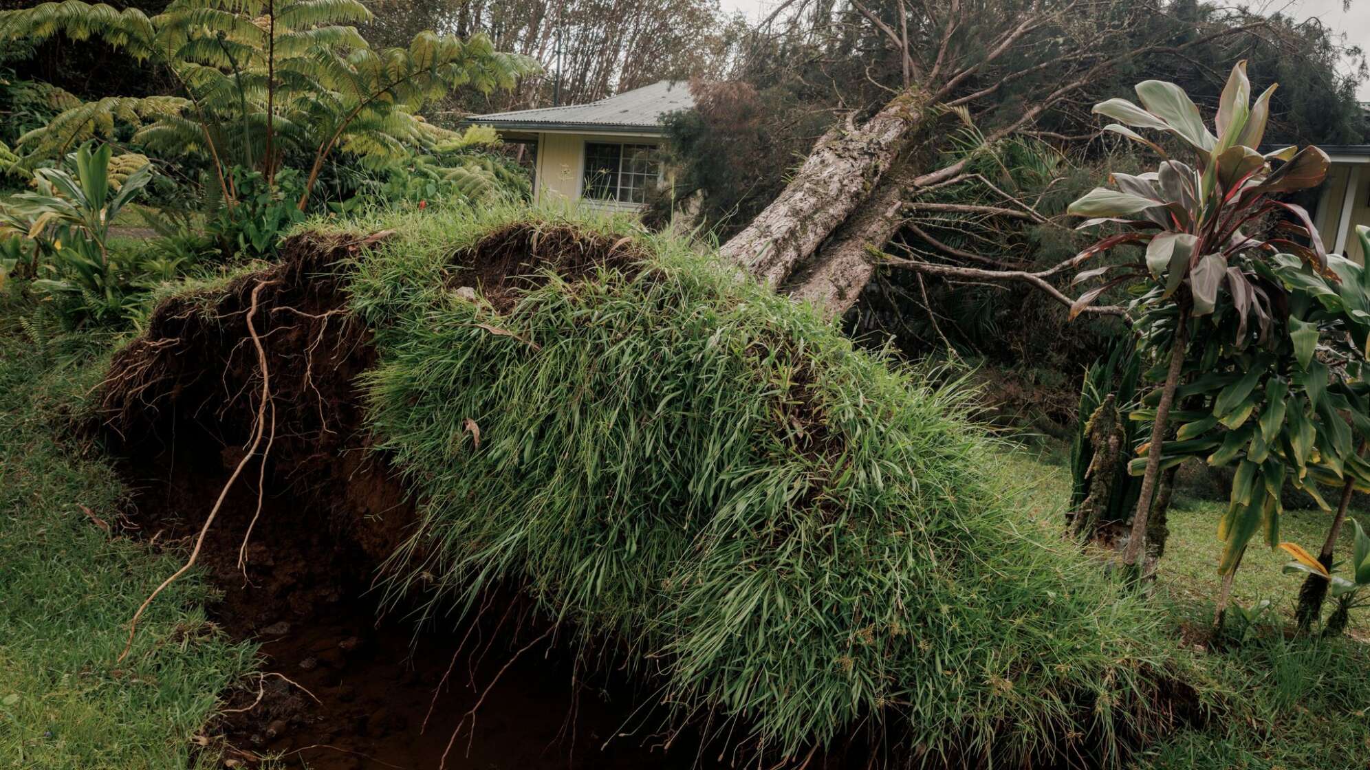 Hurrikan «Lala» - Hawaii